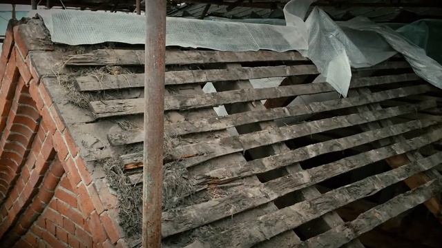 Здание Цветковской галереи, 1899-1901 гг. смотреть онлайн