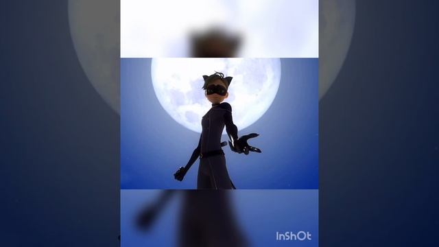 милая мордашка. Супер кот смотреть онлайн