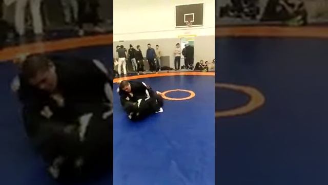 грепплинг джиу джитсу Bjj?????