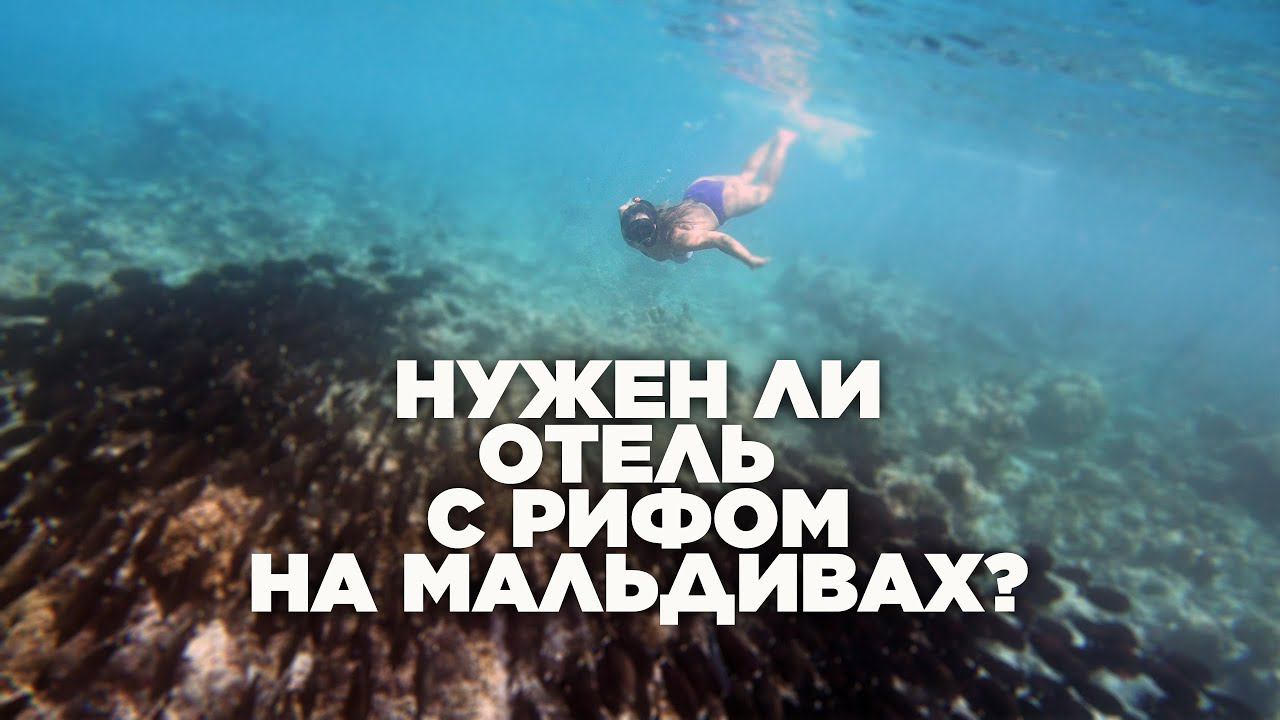 Как понять, нужен ли вам отель с домашним рифом на Мальдивах? смотреть онлайн
