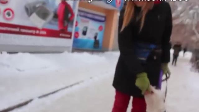 Как научить собаку слушаться при других людях и собаках? Дрессировка собак в городе при отвлечениях смотреть онлайн