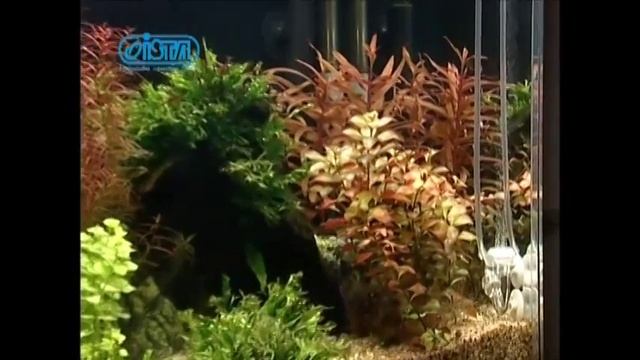 I-549. ISTA. Диффузор СО2 "3 в 1" компактный V-образный смотреть онлайн