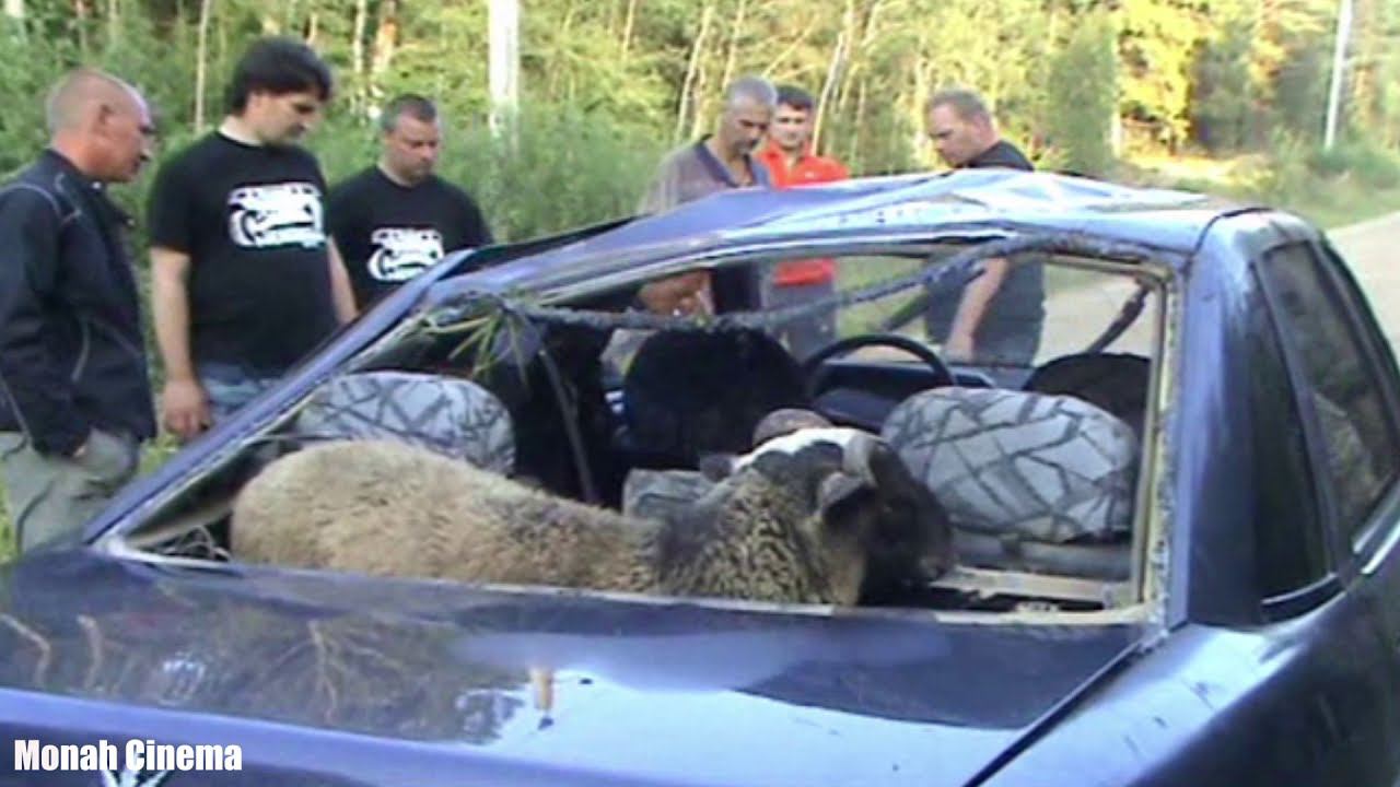 Вот какие последствия бывают из за баранов. Hummer помогает, а ВАЗ 2110 в щи из за барана смотреть онлайн