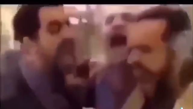 реакция мангуста смотреть онлайн