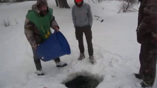 Выпуск форели в пруд смотреть онлайн