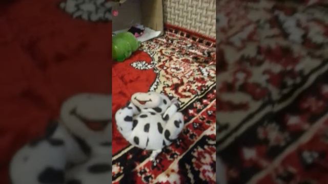 ФИЛЬМ ПРО ИГРУШКИ #ЧАСТЬ ПЕРВАЯ смотреть онлайн