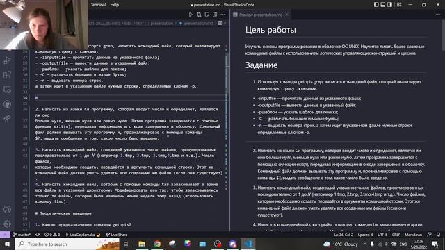 Лаб 11 вид 3 смотреть онлайн