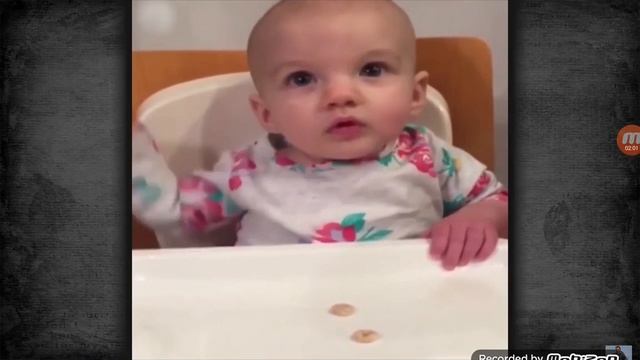 Потрачено 2016 смотреть онлайн