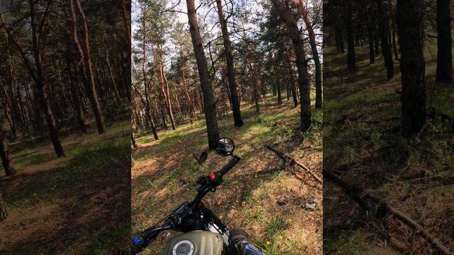 Я хоть выеду отсюда?? #scrambler #bikelife #biker #лес #мотоциклы #мотопокатушки #dva.kolesa #short смотреть онлайн