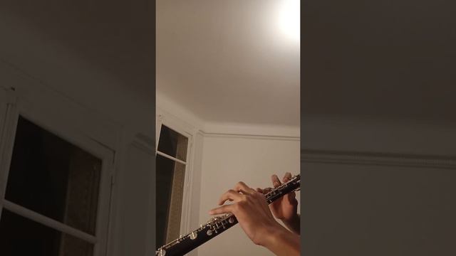 Giorno's theme but very expressive on oboe смотреть онлайн