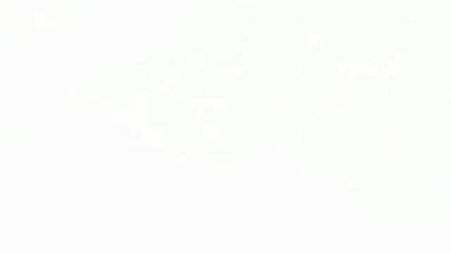 Orto di Paolo смотреть онлайн