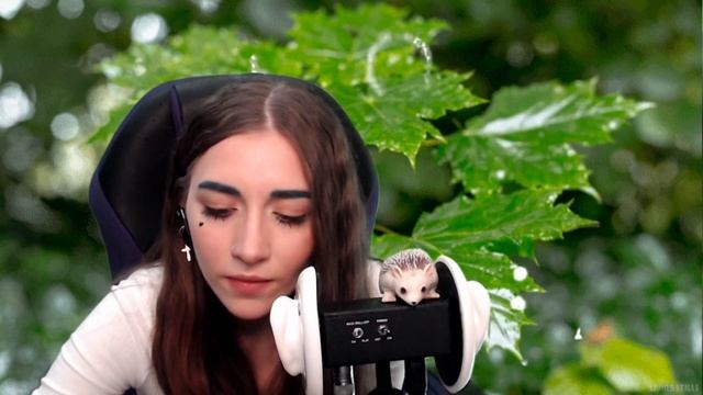 ASMR Eating Grapefruit | АСМР Итинг, кушаю грейпфрут, чавкаю