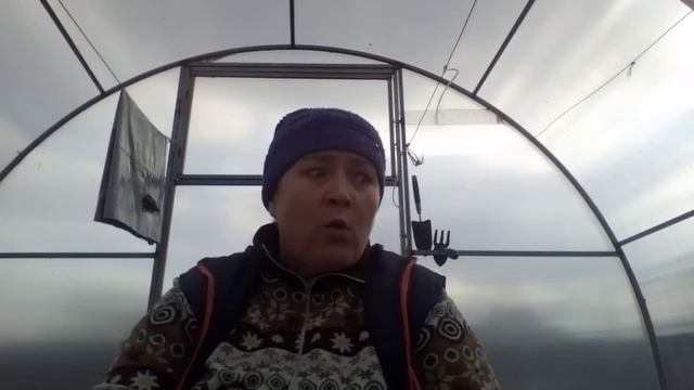 Хризантемы .Русская баня.Деревенский релакс.Ухоженность. смотреть онлайн