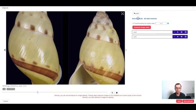SentiSight.ai labeling images for object detection tutorial смотреть онлайн