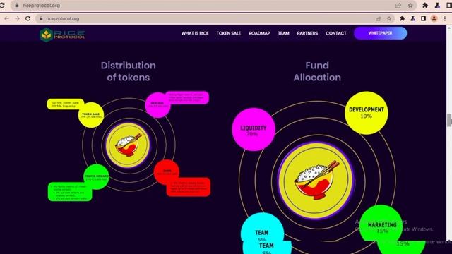 Rice Protocol Project Full Review | Global Decentralize Finance | Bitgert Chain Network смотреть онлайн