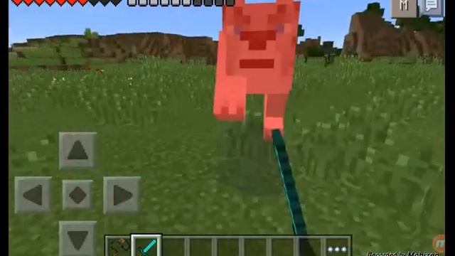 BIG CATS MOD!! - Lions,Panthers & MORE! - Minecraft Pocket Edition смотреть онлайн