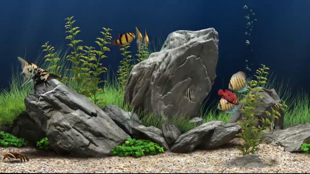 Dream Aquarium Virtual Fishtank    Аквариум мечты Виртуальный Аквариум