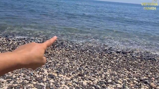 Мы уехали жить в лес, поближе к морю смотреть онлайн