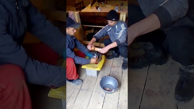 Прикол... Makitta со стройки помогает Вам на кухне!Универсальный инструмент! смотреть онлайн