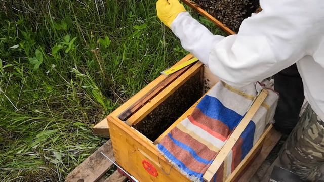 Осмотр отводка смотреть онлайн