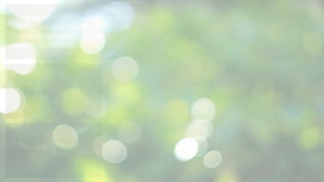 Особливості обміну речовин гетеротрофного організму. Живлення і травлення. смотреть онлайн