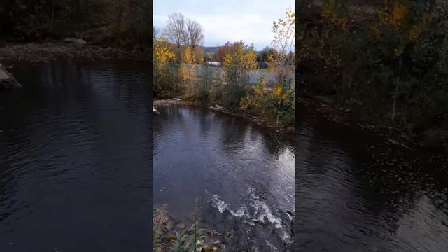 #горная речка Югушь смотреть онлайн