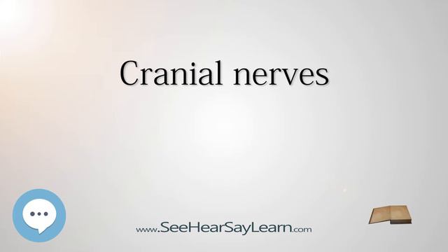 Cranial Nerves - Know It ALL 🔊✅