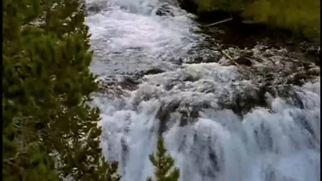 Therion - The Siren Of The Woods