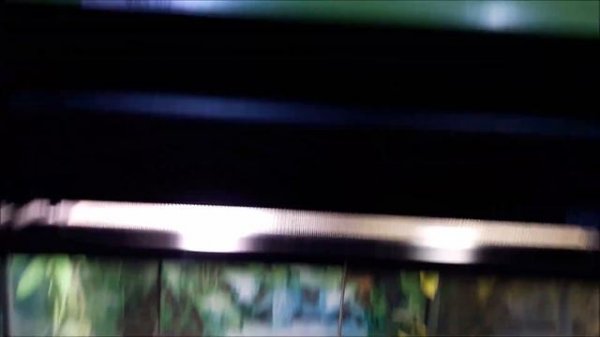 Экскурсия в ZOOLAND или шикарный зоомагазин