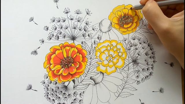 ConeflowersMarigoldsDandelions ЭхинацеяБархатцыОдуванчик