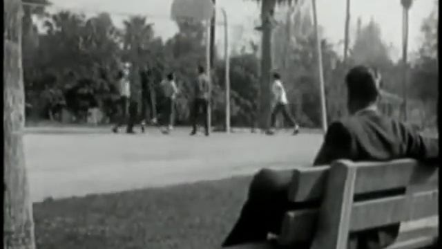 50s Public Information Film-Watch Out For Homosexuals смотреть онлайн