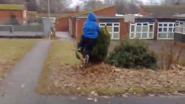 Joe jumping into bush pratice смотреть онлайн