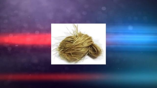 ЛИПА: ИСТОРИЯ ЛИПЫ! Интересные факты о липе! смотреть онлайн