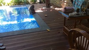 Вьетнам отель на острове Винперл НЯчанг