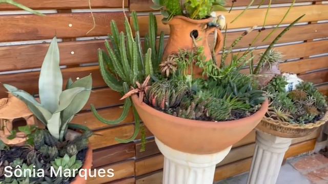 #VASOS #DECORADOS + #SUCULENTAS DE #MEIA #SOMBRA E DE #SOL #PLENO смотреть онлайн