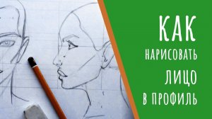 Как нарисовать лицо девушки в профиль. Построение головы в профиль Как нарисовать человека в профиль