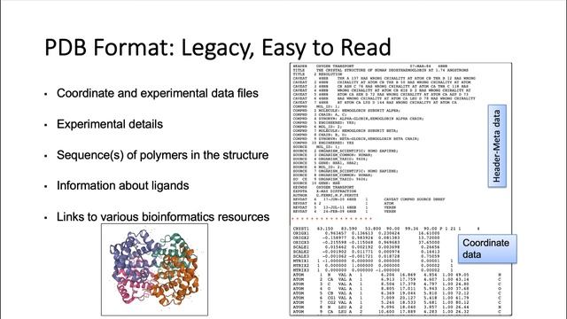 What is in the PDB File? смотреть онлайн