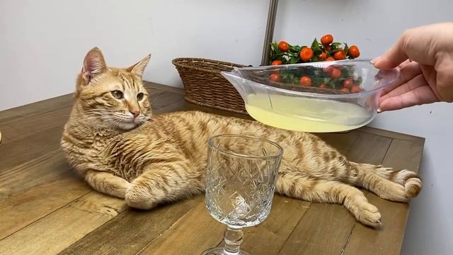 Bu içeceği sabahları iç ve 7 günde 7 kilo ver. Şok olacaksın! Bütün vücut yağları yok olur. смотреть онлайн