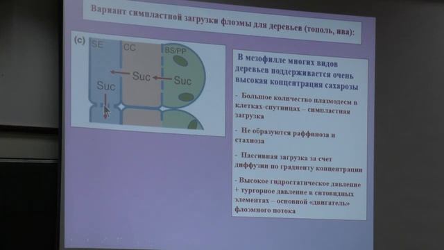 Носов А.М. Физиология растений. Водный обмен растений, растительная клетка смотреть онлайн
