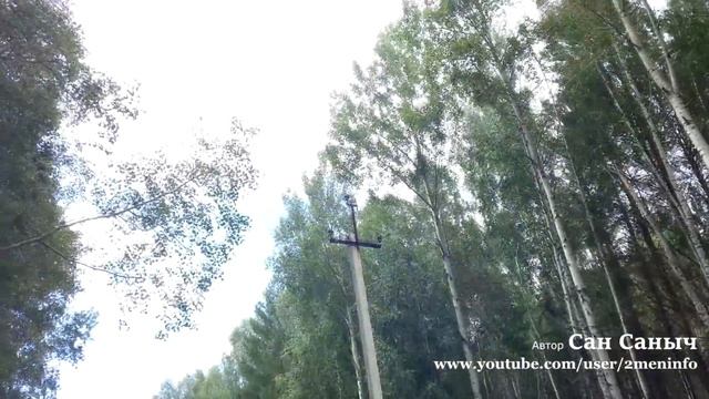 Вылазка за грибами не удалась смотреть онлайн