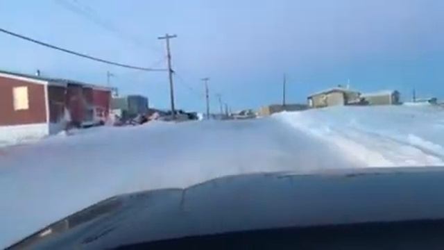 Tuktoyaktuk, NT смотреть онлайн