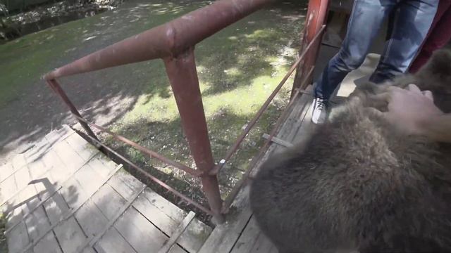 Приют Белоснежки. Контактный Зоопарк. смотреть онлайн