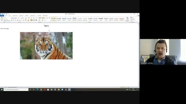 Educational Technologies - Creating our Weblogs and Websites смотреть онлайн
