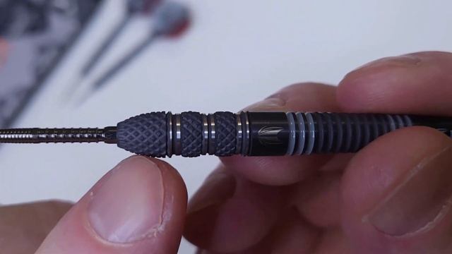 Target RVB 95 x Echo SP Darts Review - RAYMOND van BARNEVELD смотреть онлайн