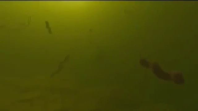 Мир внутри человека смотреть онлайн