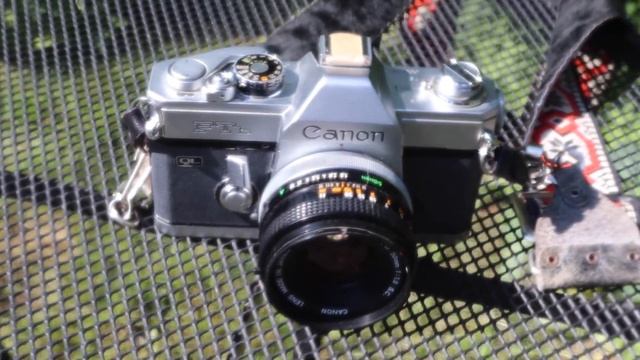 Film Cameras You Need In Your Collection смотреть онлайн