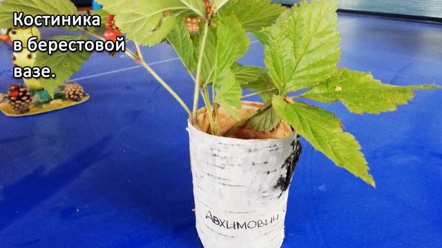 Поделки из природного материала | Идеи | Простые поделки с детьми своими руками в садик в школу. смотреть онлайн