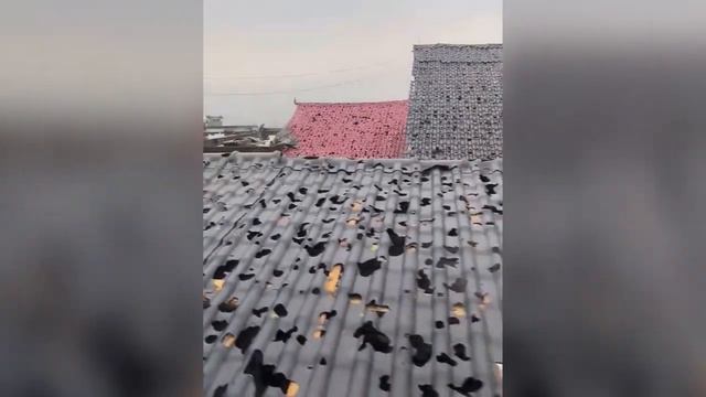 The Worst Hailstorm In History Brings China To Its Knees! Natural Disaster