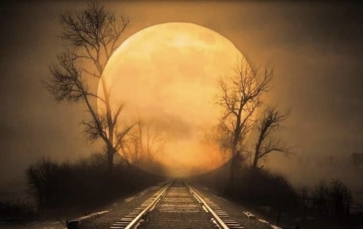 Зачем ломают дверь менты с утра?