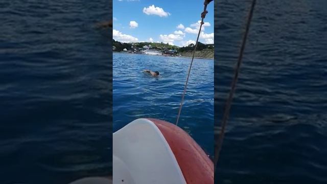 Отдых в Джубге,Синее Черное море смотреть онлайн